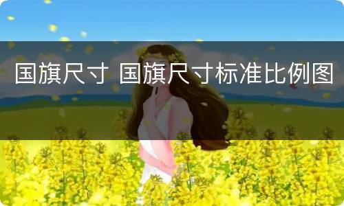 国旗尺寸 国旗尺寸标准比例图