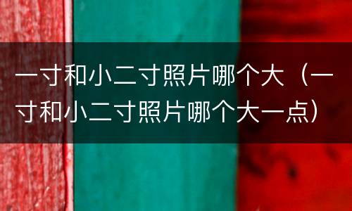 一寸和小二寸照片哪个大（一寸和小二寸照片哪个大一点）
