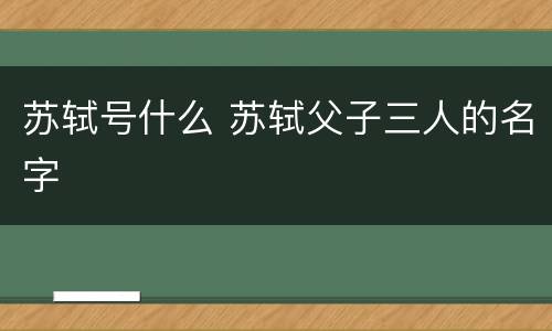 苏轼号什么 苏轼父子三人的名字