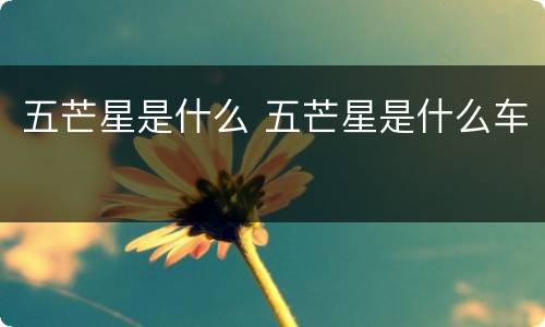五芒星是什么 五芒星是什么车