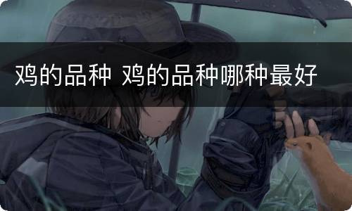 鸡的品种 鸡的品种哪种最好
