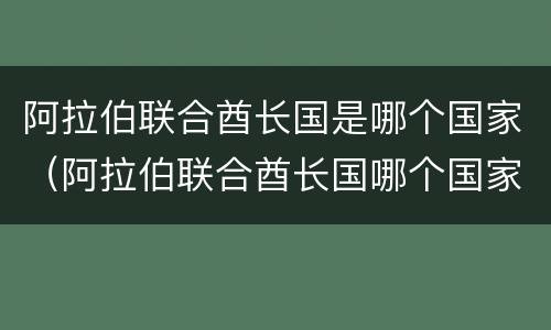 阿拉伯联合酋长国是哪个国家（阿拉伯联合酋长国哪个国家最有钱）