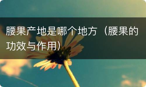 腰果产地是哪个地方（腰果的功效与作用）