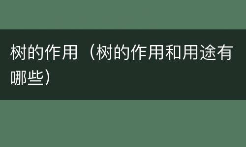 树的作用（树的作用和用途有哪些）