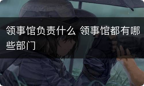 领事馆负责什么 领事馆都有哪些部门