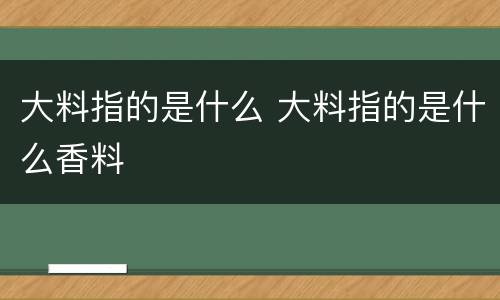大料指的是什么 大料指的是什么香料