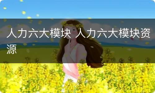 人力六大模块 人力六大模块资源