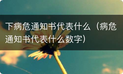 下病危通知书代表什么（病危通知书代表什么数字）