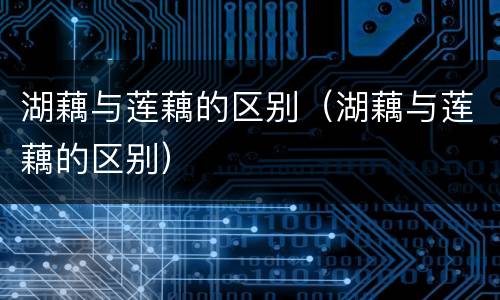 湖藕与莲藕的区别（湖藕与莲藕的区别）