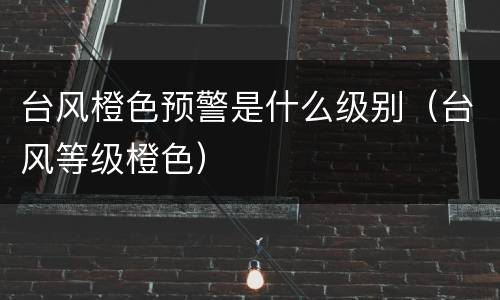 台风橙色预警是什么级别（台风等级橙色）