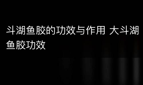 斗湖鱼胶的功效与作用 大斗湖鱼胶功效