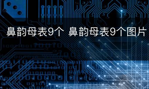 鼻韵母表9个 鼻韵母表9个图片