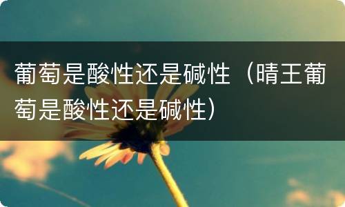 葡萄是酸性还是碱性（晴王葡萄是酸性还是碱性）