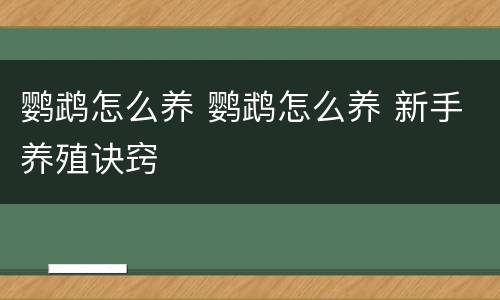 鹦鹉怎么养 鹦鹉怎么养 新手养殖诀窍