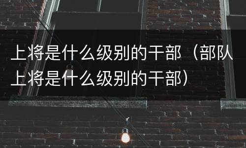 上将是什么级别的干部（部队上将是什么级别的干部）