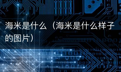海米是什么（海米是什么样子的图片）