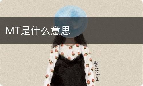 MT是什么意思