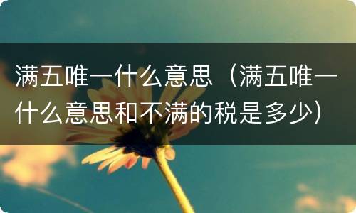 满五唯一什么意思（满五唯一什么意思和不满的税是多少）