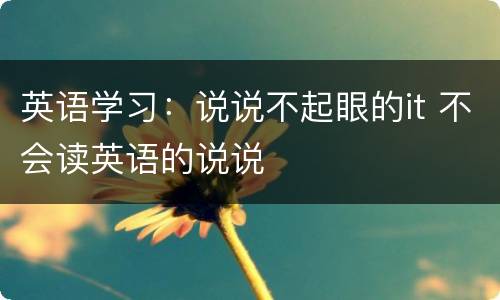 英语学习：说说不起眼的it 不会读英语的说说