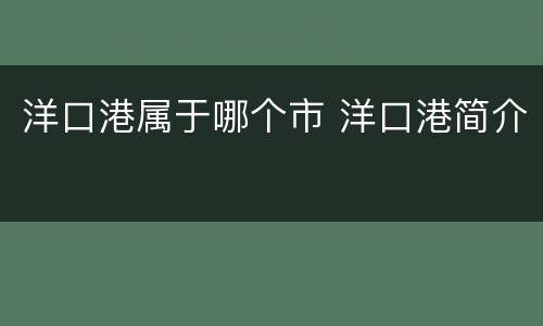 洋口港属于哪个市 洋口港简介