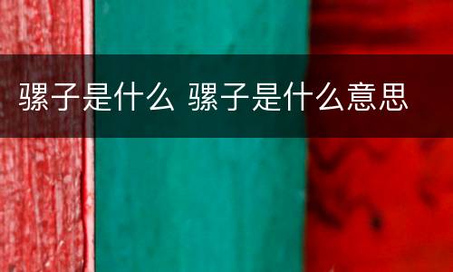骡子是什么 骡子是什么意思