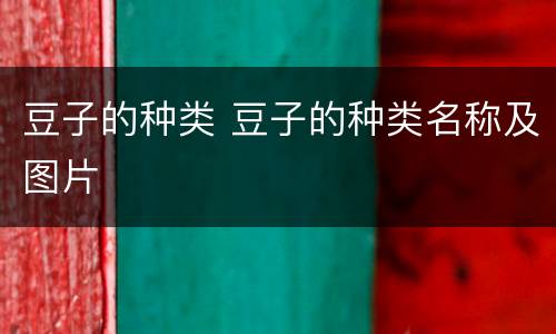豆子的种类 豆子的种类名称及图片