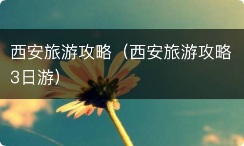 西安旅游攻略（西安旅游攻略3日游）