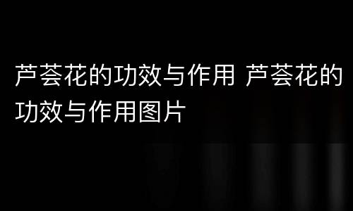 芦荟花的功效与作用 芦荟花的功效与作用图片