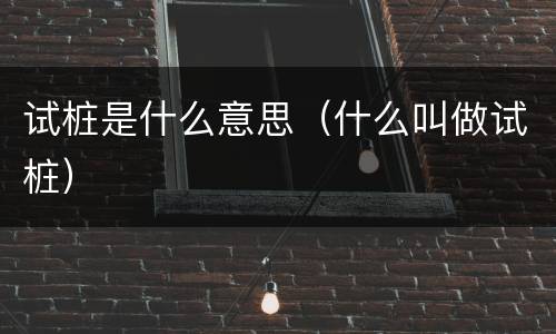 试桩是什么意思（什么叫做试桩）