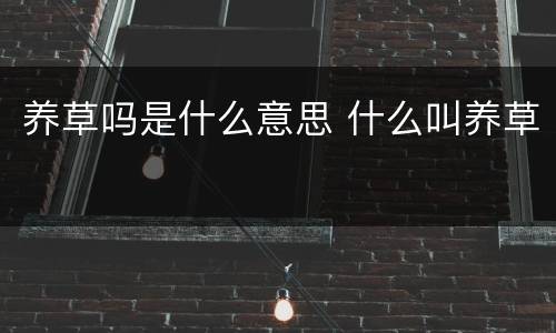 养草吗是什么意思 什么叫养草