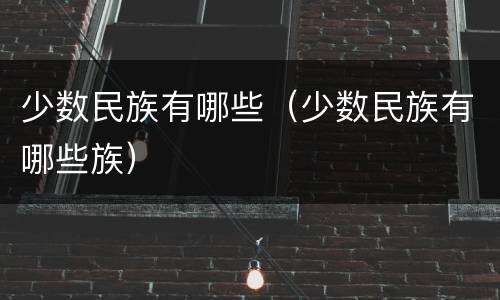 少数民族有哪些（少数民族有哪些族）