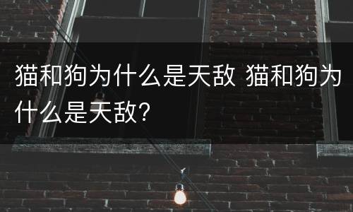 猫和狗为什么是天敌 猫和狗为什么是天敌?