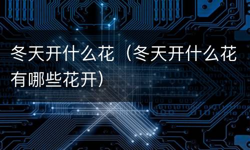 冬天开什么花（冬天开什么花有哪些花开）