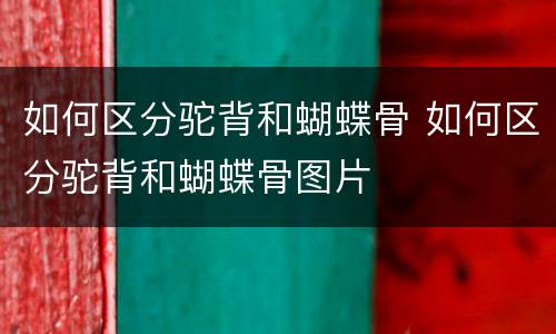 如何区分驼背和蝴蝶骨 如何区分驼背和蝴蝶骨图片
