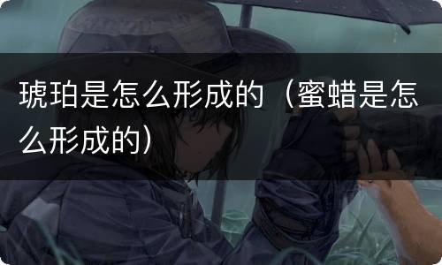 琥珀是怎么形成的（蜜蜡是怎么形成的）