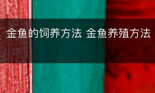 金鱼的饲养方法 金鱼养殖方法