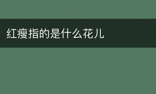 红瘦指的是什么花儿