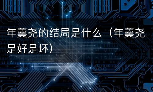 年羹尧的结局是什么（年羹尧是好是坏）