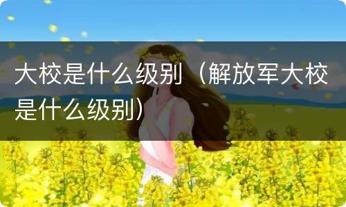 大校是什么级别（解放军大校是什么级别）