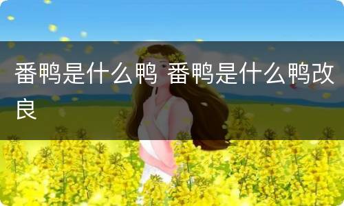 番鸭是什么鸭 番鸭是什么鸭改良