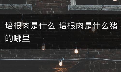 培根肉是什么 培根肉是什么猪的哪里