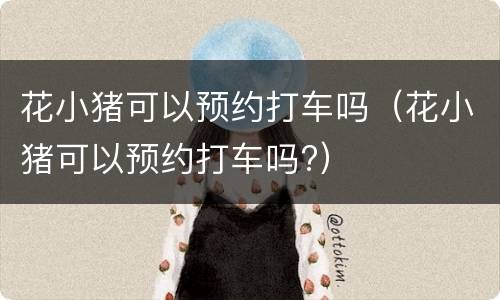 花小猪可以预约打车吗（花小猪可以预约打车吗?）