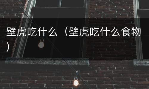 壁虎吃什么（壁虎吃什么食物）