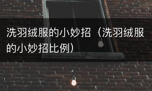 洗羽绒服的小妙招（洗羽绒服的小妙招比例）