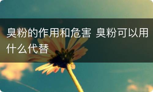 臭粉的作用和危害 臭粉可以用什么代替
