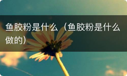 鱼胶粉是什么（鱼胶粉是什么做的）