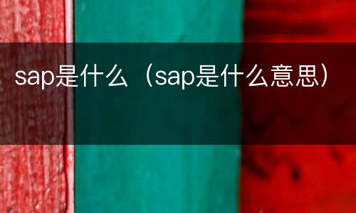 sap是什么（sap是什么意思）