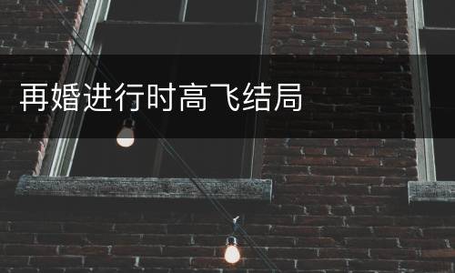 再婚进行时高飞结局