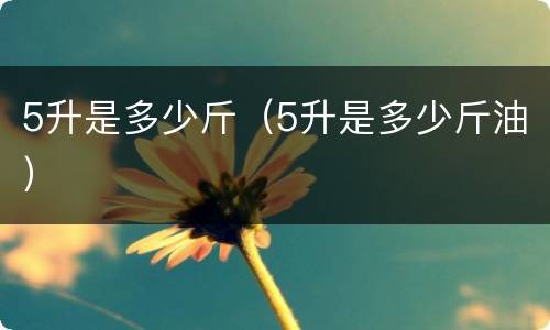 5升是多少斤（5升是多少斤油）