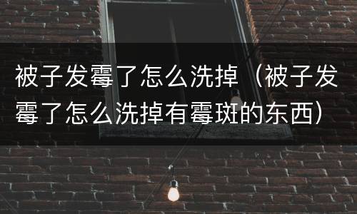 被子发霉了怎么洗掉（被子发霉了怎么洗掉有霉斑的东西）